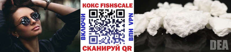 Cocaine FishScale  наркошоп  Кировск 