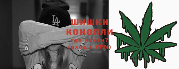 мдпв Бугульма