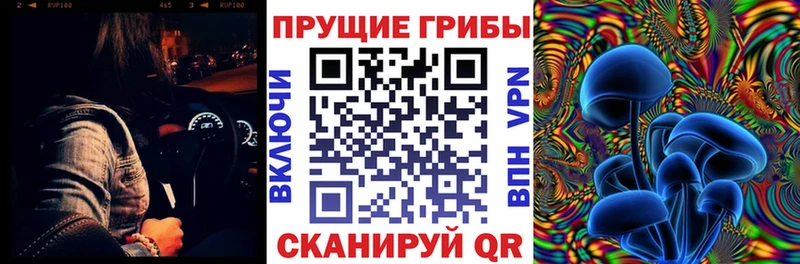 Псилоцибиновые грибы Psilocybine cubensis  Кировск 
