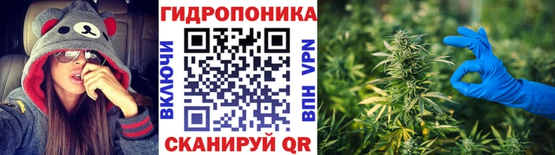 Шишки марихуана индика  Кировск 